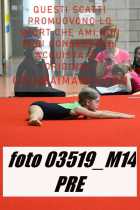 03519_M14-PRE