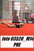 03520_M14-PRE