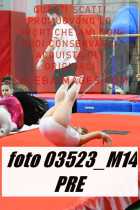 03523_M14-PRE