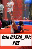 03528_M14-PRE