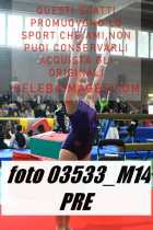 03533_M14-PRE