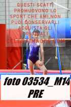 03534_M14-PRE