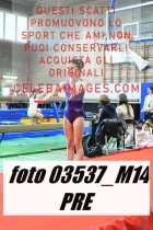 03537_M14-PRE