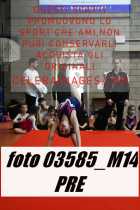 03585_M14-PRE