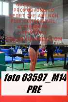 03597_M14-PRE
