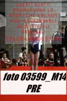 03599_M14-PRE