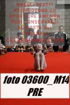 03600_M14-PRE