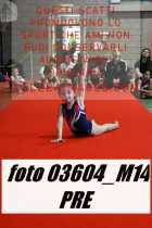03604_M14-PRE