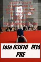 03610_M14-PRE