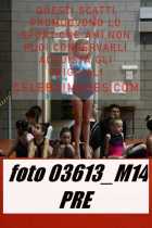 03613_M14-PRE