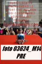03624_M14-PRE