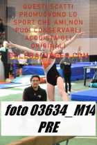 03634_M14-PRE