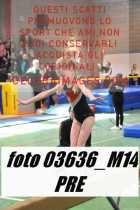 03636_M14-PRE