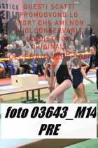 03643_M14-PRE