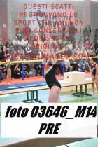 03646_M14-PRE