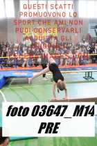 03647_M14-PRE