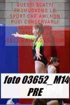 03652_M14-PRE
