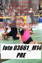 03661_M14-PRE