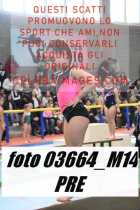 03664_M14-PRE