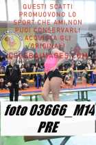 03666_M14-PRE