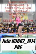 03667_M14-PRE