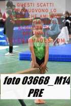 03668_M14-PRE