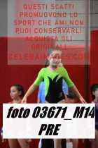 03671_M14-PRE