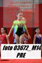 03672_M14-PRE
