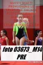 03673_M14-PRE