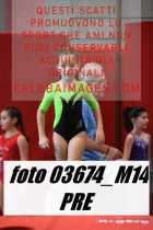 03674_M14-PRE
