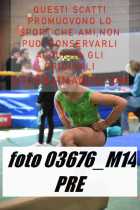 03676_M14-PRE