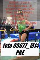 03677_M14-PRE