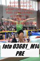 03681_M14-PRE