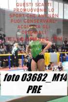 03682_M14-PRE
