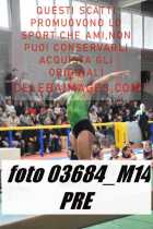 03684_M14-PRE