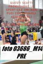 03686_M14-PRE