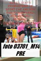 03701_M14-PRE