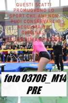 03706_M14-PRE