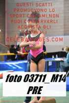 03711_M14-PRE
