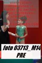 03713_M14-PRE