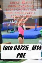 03725_M14-PRE