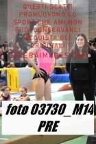 03730_M14-PRE