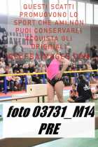 03731_M14-PRE
