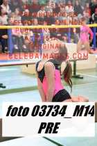 03734_M14-PRE
