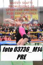 03736_M14-PRE