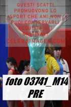 03741_M14-PRE