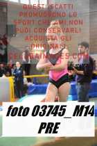 03745_M14-PRE