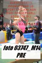 03747_M14-PRE