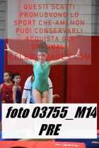 03755_M14-PRE