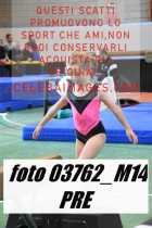03762_M14-PRE